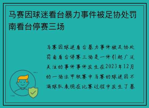 马赛因球迷看台暴力事件被足协处罚南看台停赛三场
